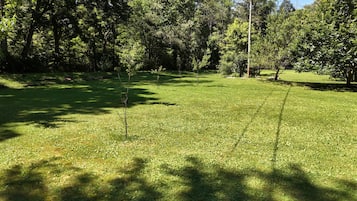 A grassy area with trees and a clear sky.