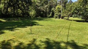 A grassy area with trees and a clear sky. - Charming, streamside, 3-bedroom country house in Confluence! (Confluence)