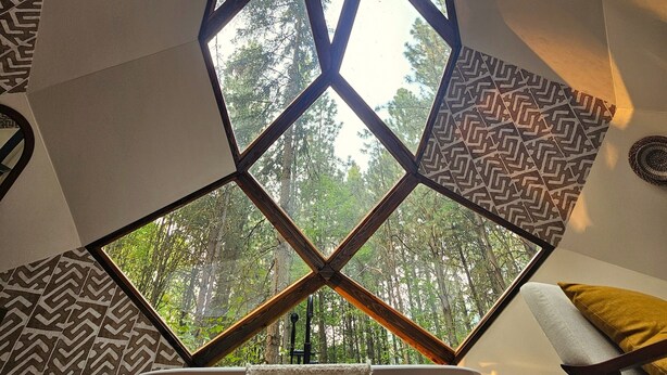 Quarto com design geométrico no teto, paredes padronizadas e vista para uma floresta através de uma grande janela.