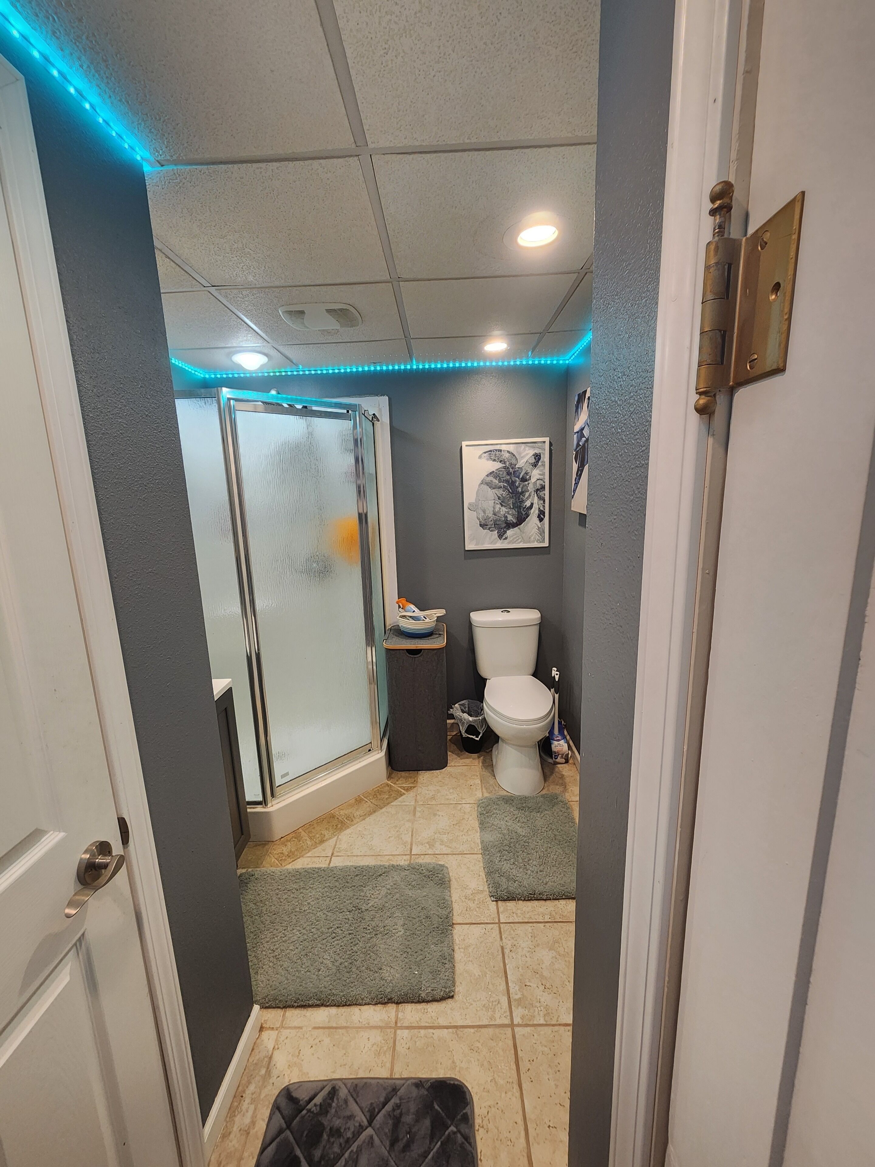 Et badeværelse med toilet, bruser og en glasdør til bruseafsnit.