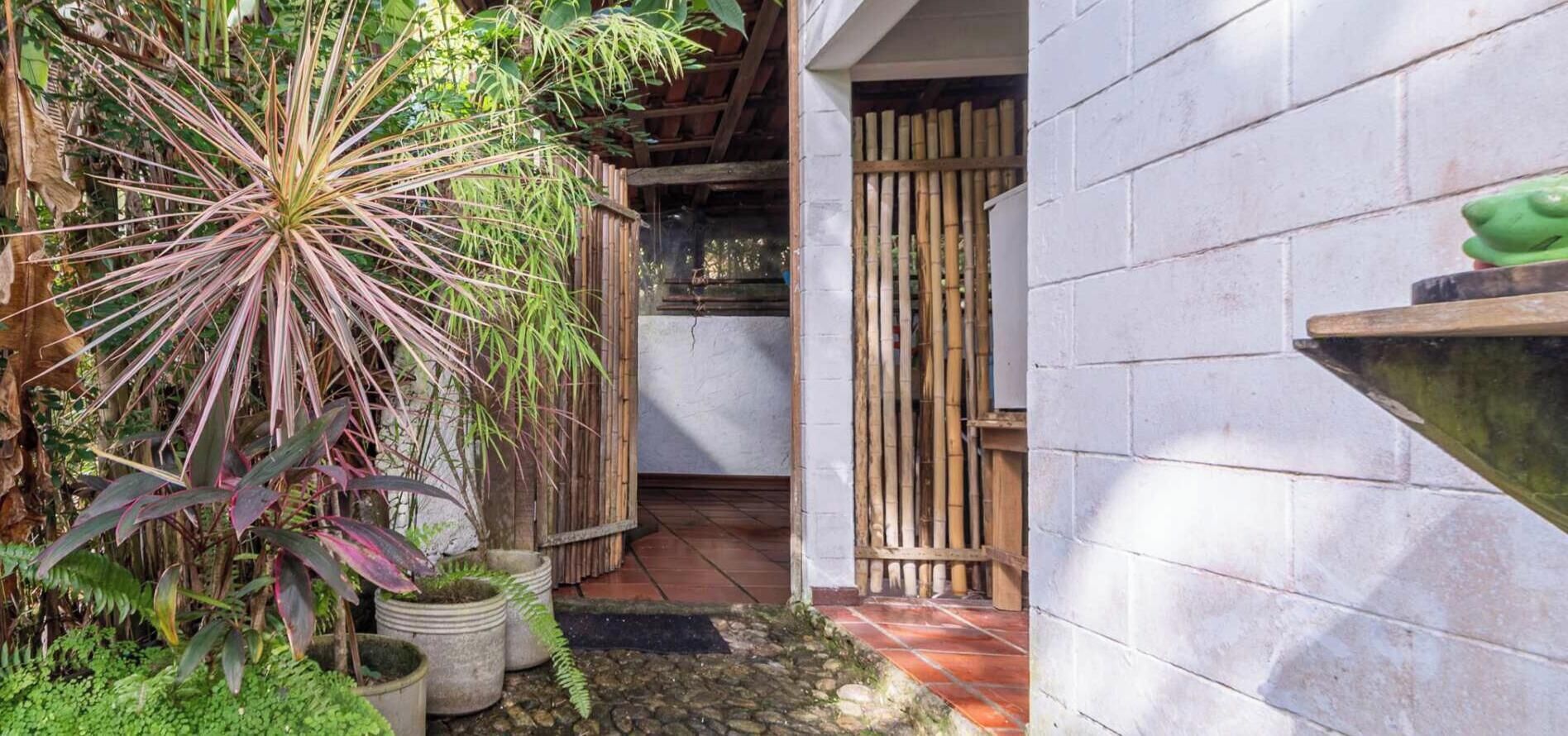 A narrow outdoor pathway leading to a building entrance, surrounded by potted plants and bamboo structures.