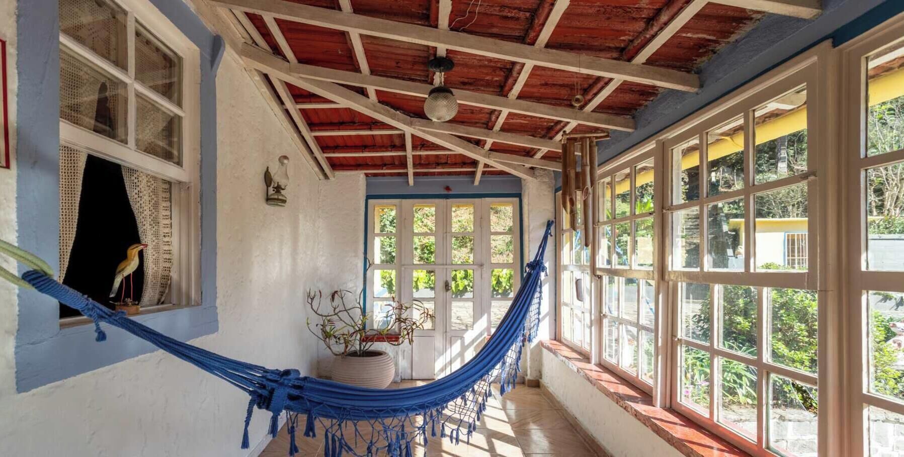 A room with a hammock, a potted plant, and a window with a view of greenery.