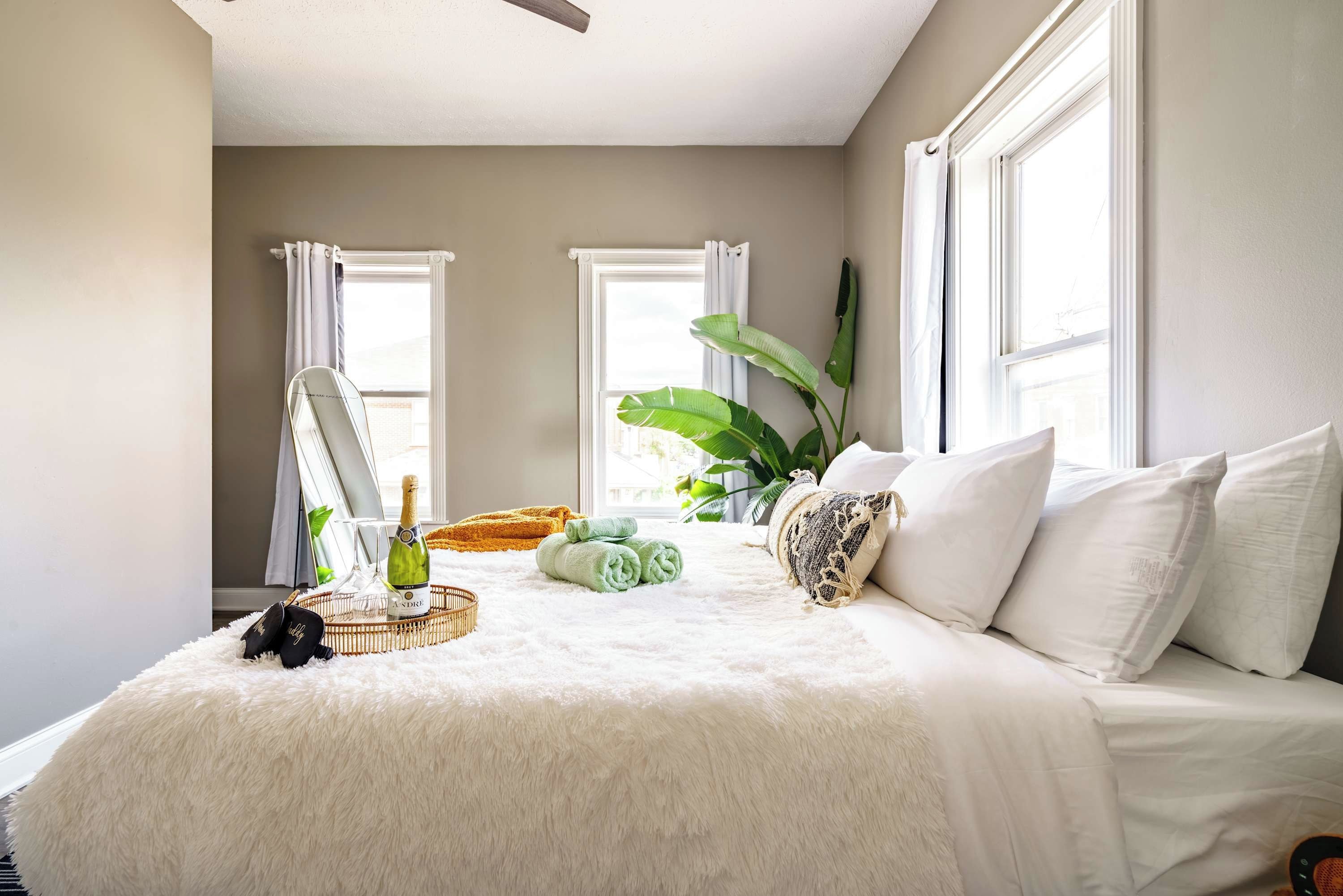 Quarto com cama, janela grande, planta e garrafa de champanhe.