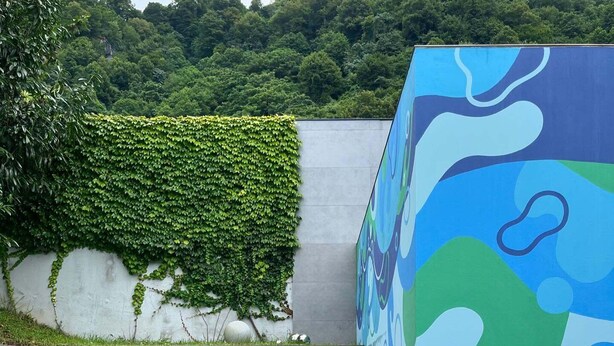 A red bench, a potted plant, and a wall with a green ivy and a blue abstract design. - Mandrati Loft Room 06 | Sea View Balcony, Heated Pool & Breakfast (Sarpi)