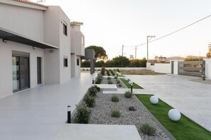 A modern building with a flat roof, a paved driveway, and a landscaped garden with spherical white planters.