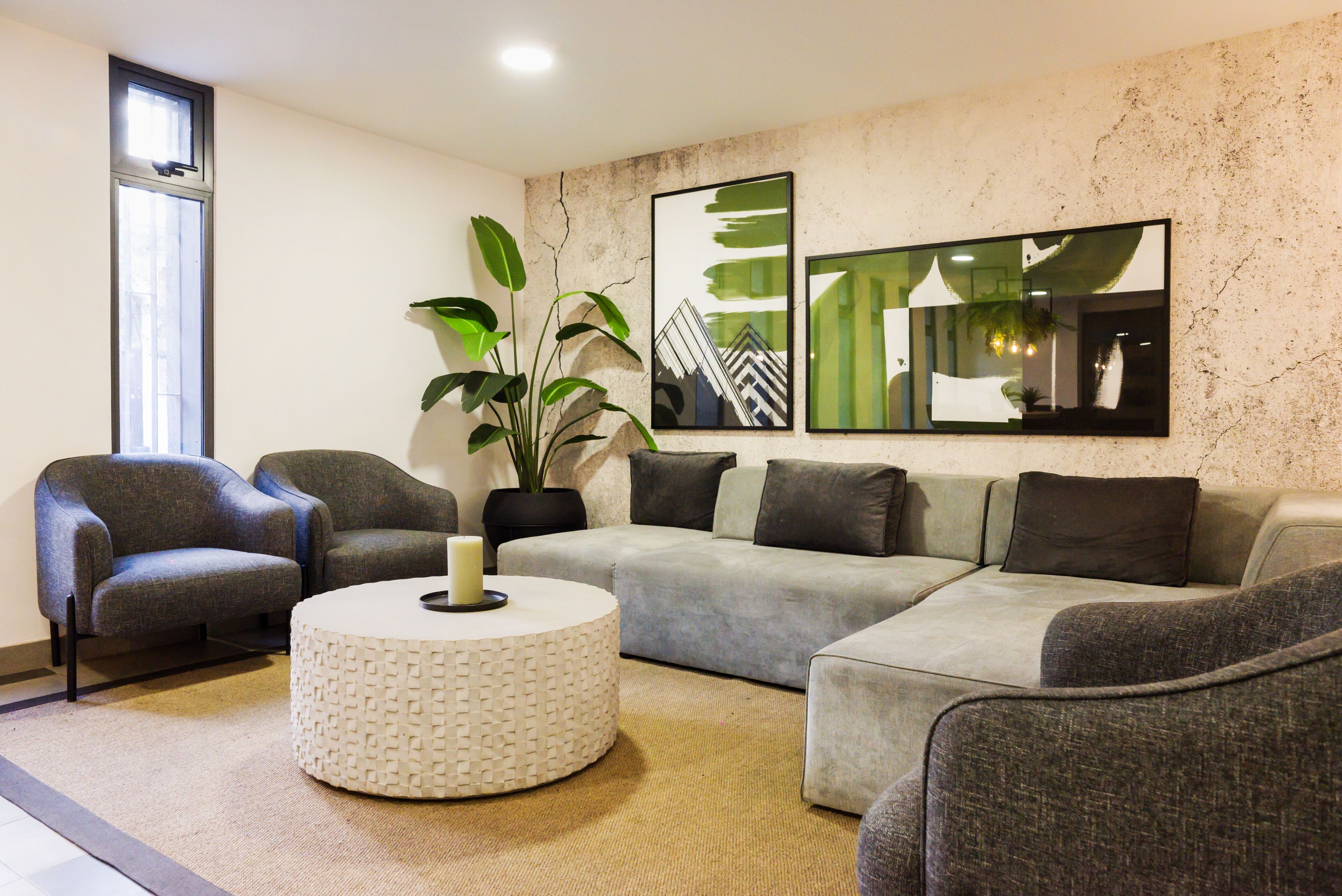 Un salon moderne avec un canapé d’angle, deux fauteuils, une table basse ronde et une grande plante en pot.