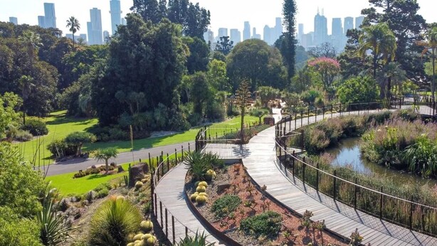 A park with a wooden boardwalk, a pond, and a city skyline in the background. - Rosa and Noir Riverside Escape near Botanic Gardens (South Yarra)