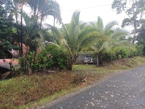 A rural road with a parked vehicle and lush greenery, including palm trees.