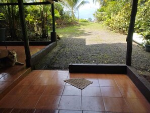 Un espace extérieur abrité, doté d’un sol carrelé, d’un tapis et d’un chat assis sur la gauche.