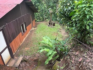 A rustic wooden building with a red roof, a small garden area with a banana plant, and a narrow path leading to the entrance. - Cabaña Rústica la Paz de Río Celeste (Santa Rosa)