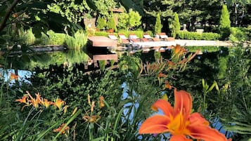 A serene garden with a pond, lush greenery, and a row of sun loungers.