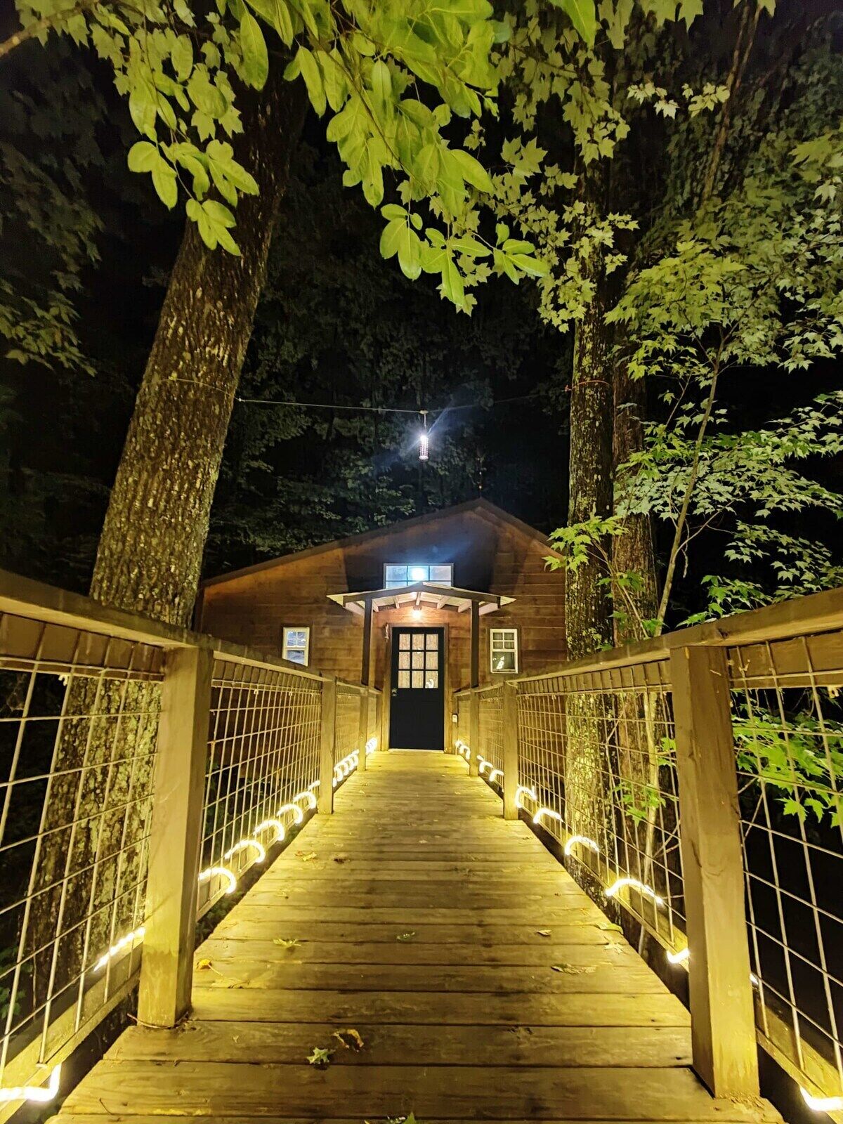 Classic Tree House | Exterior