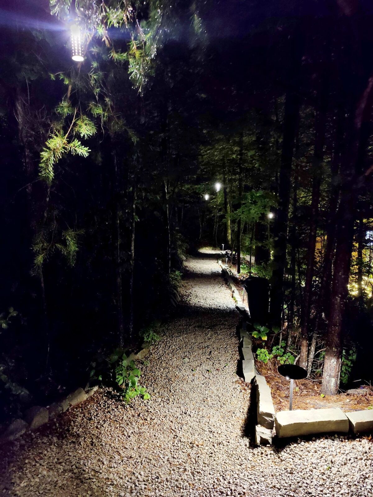 Un sendero de grava bordeado por árboles, con un banco y una farola.