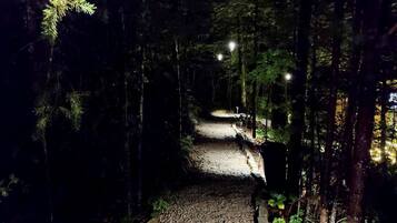 A gravel pathway flanked by trees, with a bench and a light post.