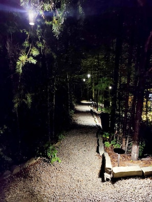 A gravel pathway flanked by trees, with a bench and a light post.