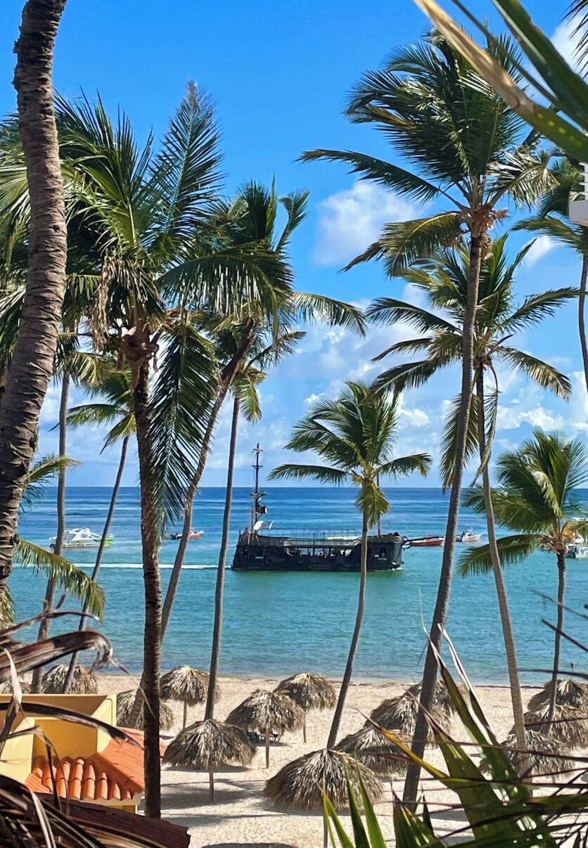 Een strand met palmbomen, een boot en een hut met rieten dak.