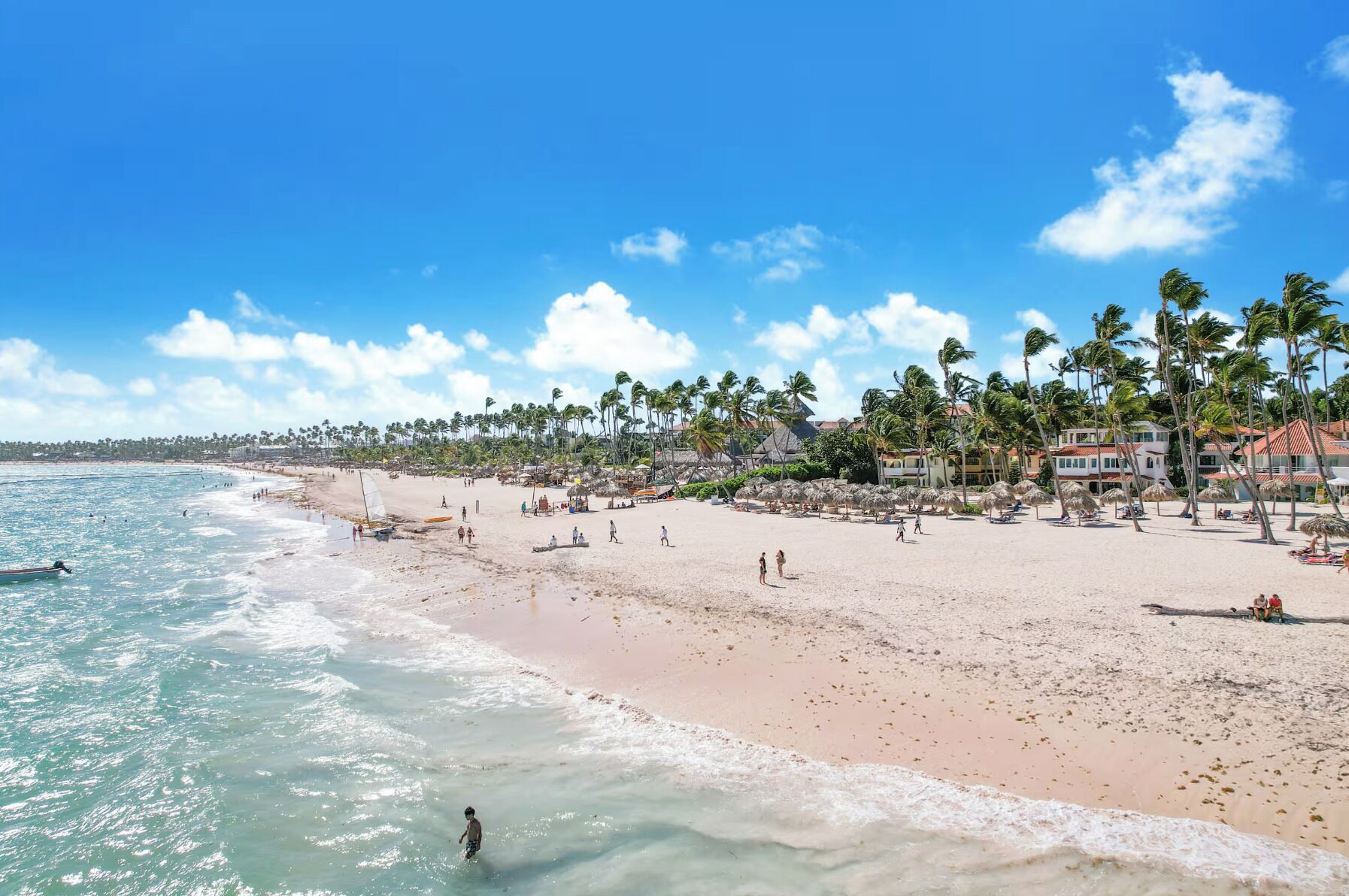A beach with clear skies, palm trees, and buildings along the shore.
