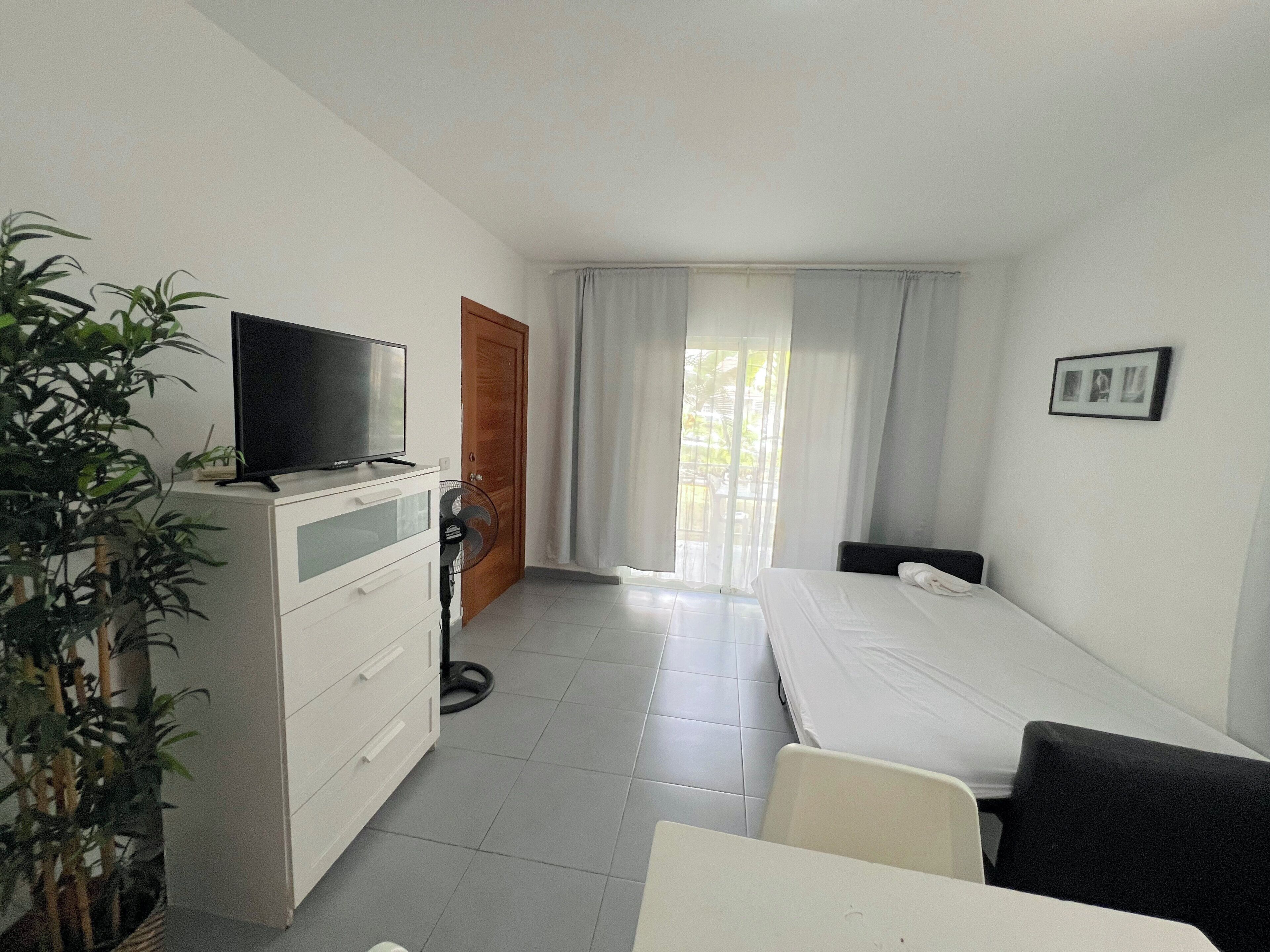 Habitación de hotel con cama, escritorio, televisor sobre un mueble, planta y ventana con cortinas.