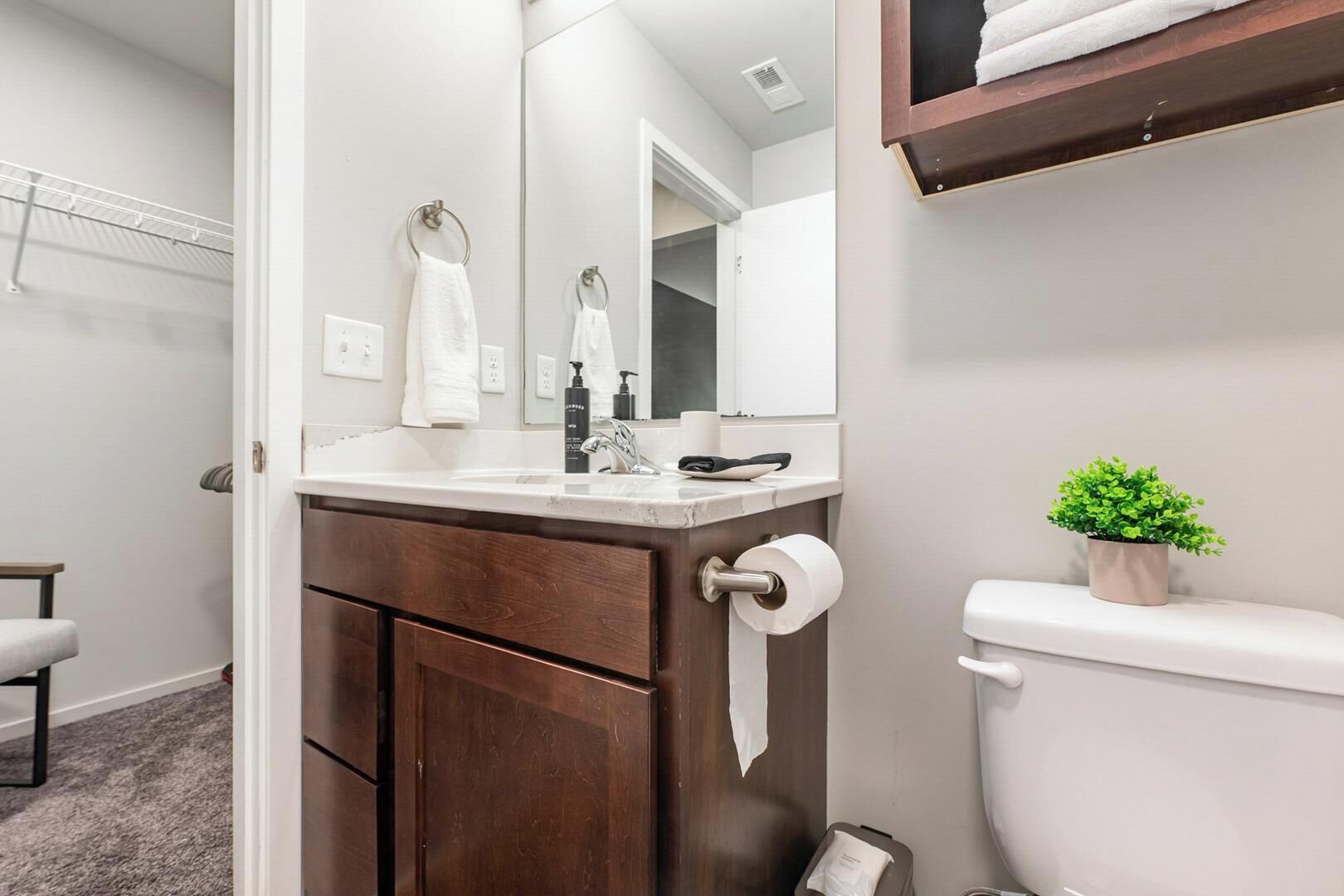A bathroom with a white sink, a mirror, a toilet, and a small green plant on the toilet tank.