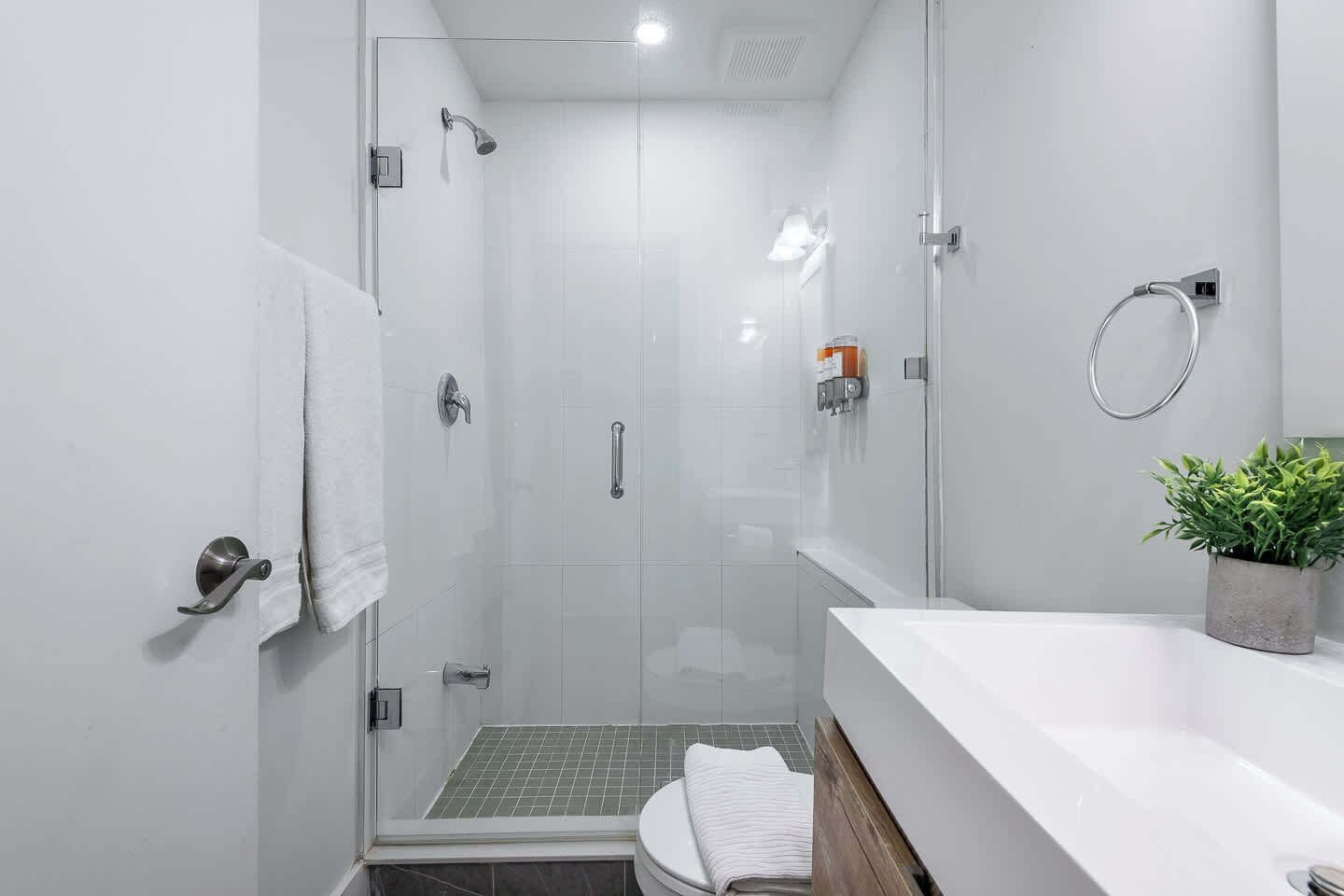 A modern bathroom with a glass-enclosed shower, a white sink, and a potted plant.