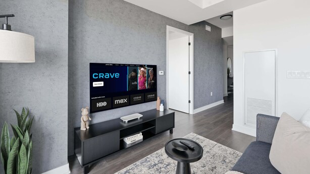 A modern living room with a flat-screen TV mounted on a grey wall, a black entertainment unit below, and a grey sofa with a patterned rug.