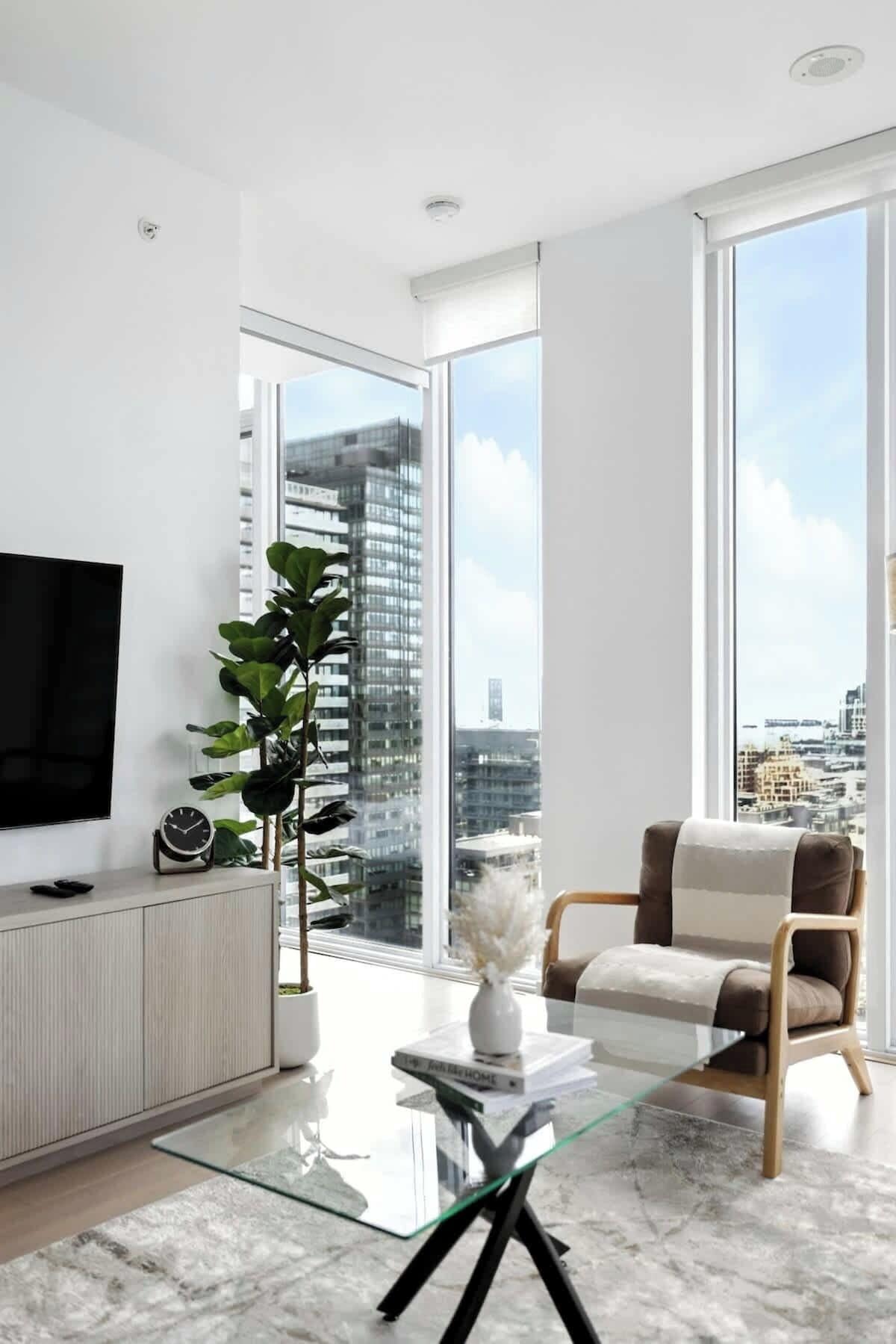A modern living room with a large window, a flat-screen TV, a sofa, a coffee table, and a potted plant.