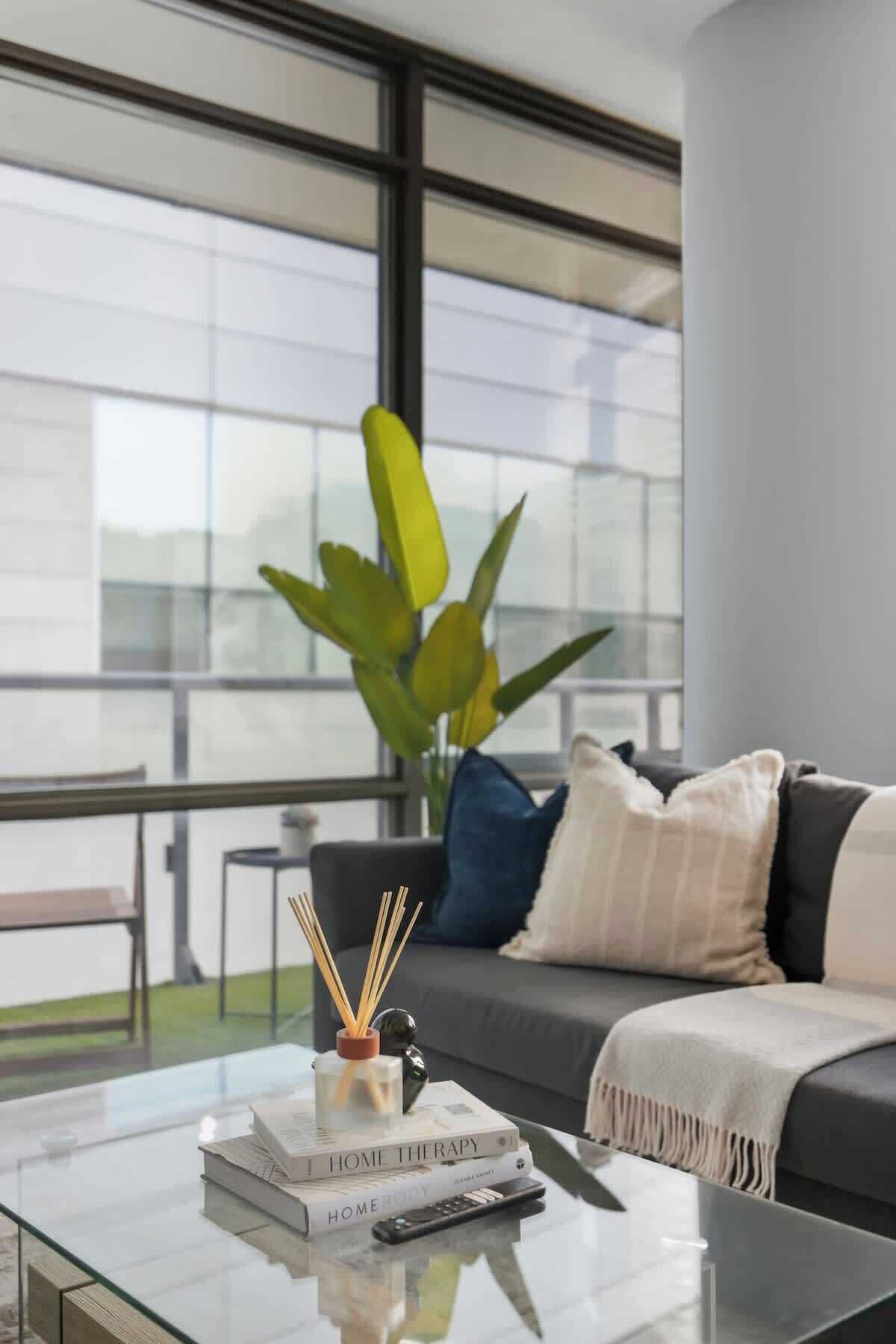 A modern living room with a glass coffee table, a sofa with cushions, a large window, and a potted plant.