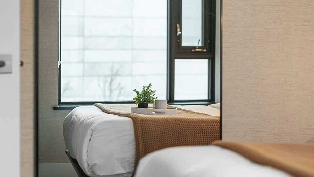 Quarto de hotel com uma grande janela, uma cama, uma mesa pequena com uma planta e uma luminária pendente.