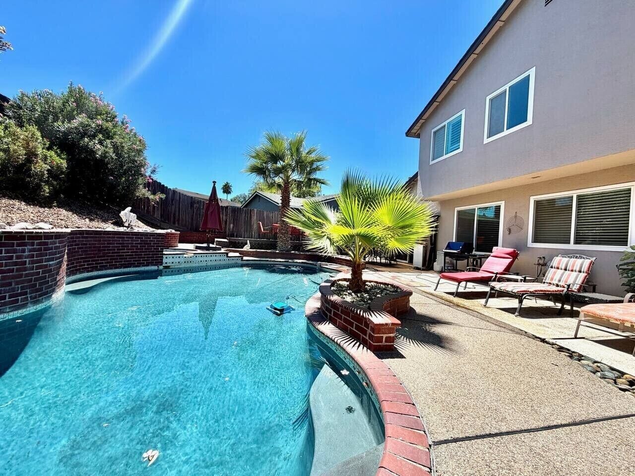 Una piscina con borde de ladrillo, rodeada de un patio con sillones de descanso y una palmera.