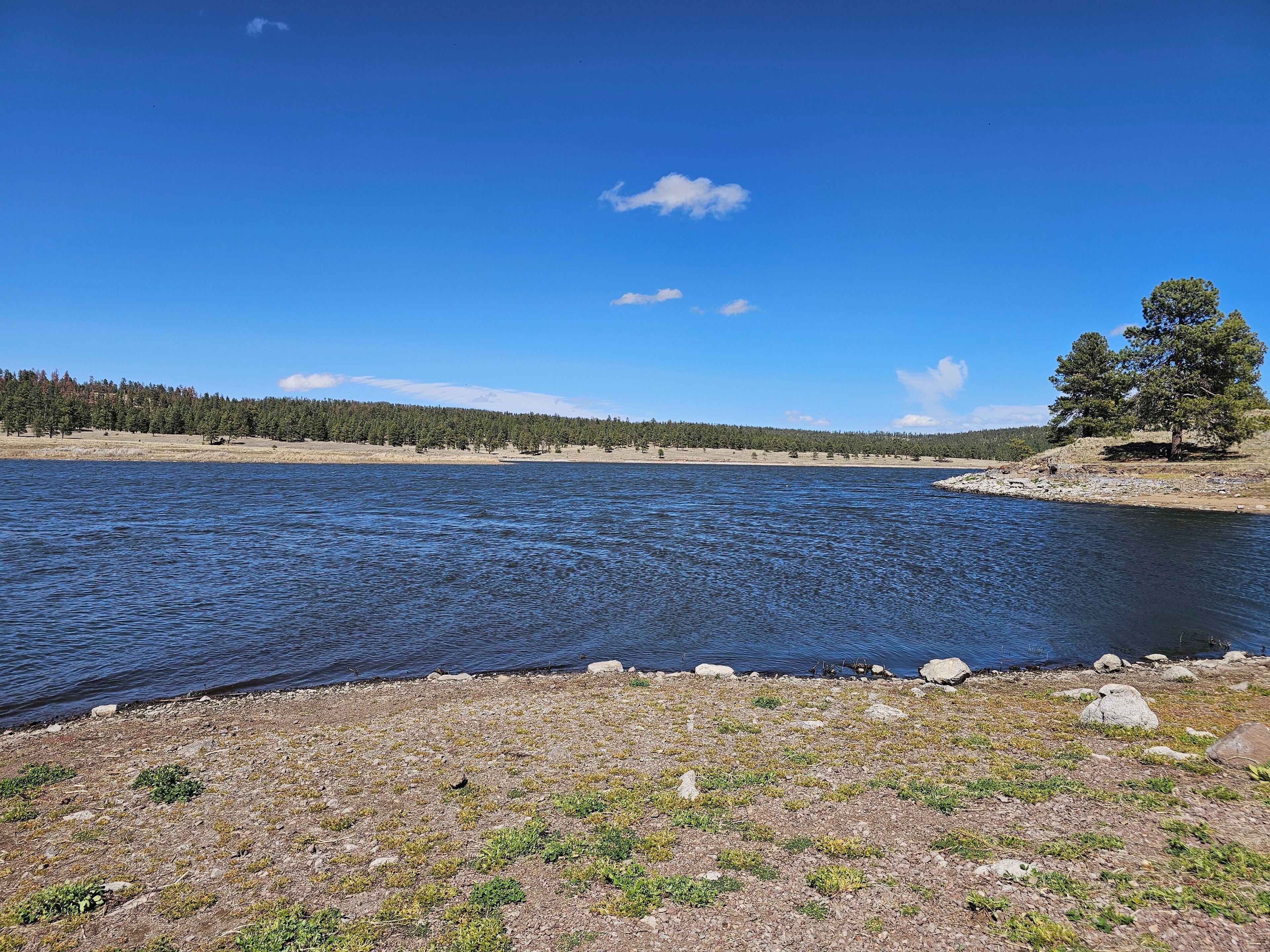 Un lac aux rives rocheuses, avec un arbre sur la droite.