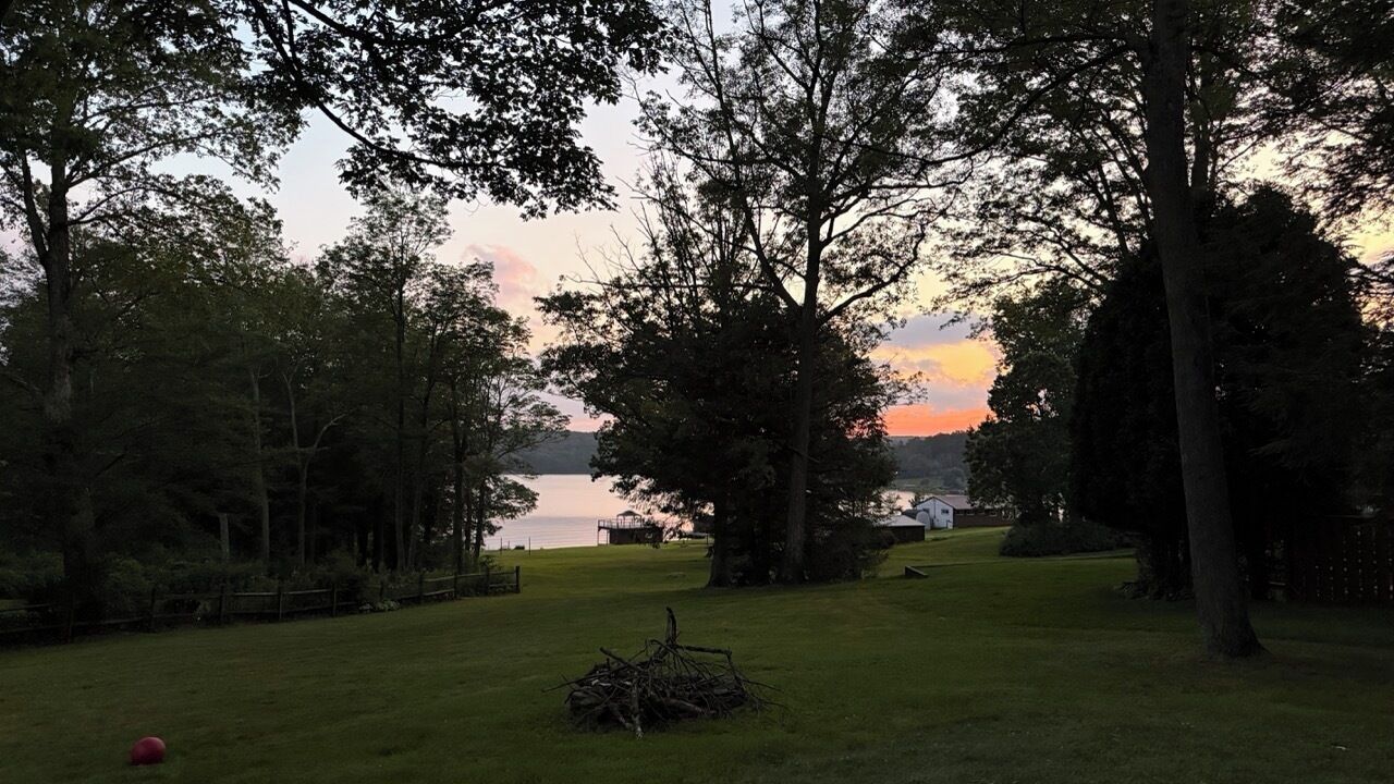 A grassy area with trees and a view of a body of water during sunset.