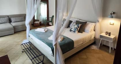 Le Tartarughe - Rooms and Apartments -
