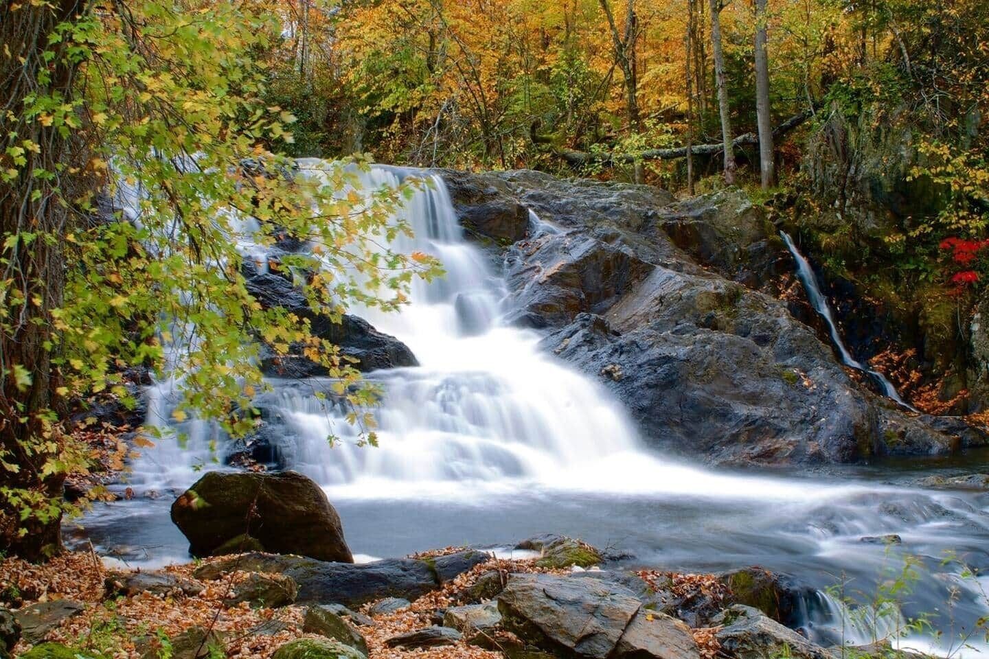 Une cascade située dans une zone boisée, avec des rochers et des feuilles d’automne.