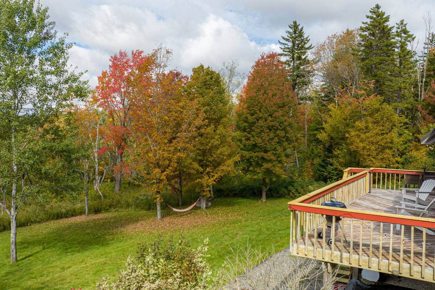 Une terrasse avec des sièges extérieurs, entourée d’arbres aux feuilles d’automne.