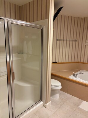 Jetted bath, hair dryer, towels, soap - SMUGGLERS NOTCH. Popular family ski retreat. Stay onsite with Ski Lift access (Cambridge)