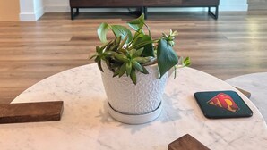 Sala de estar com televisão, uma mesa de centro e uma planta em vaso.