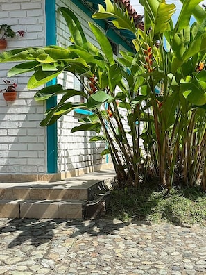 Detalle exterior