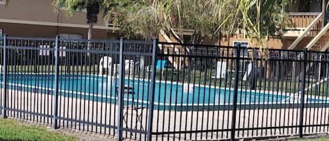 A swimming pool surrounded by a black metal fence, with lounge chairs and a palm tree in the background.