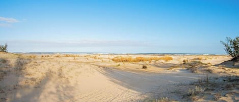 A sandy beach with dunes and sparse vegetation.