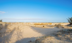 Playa