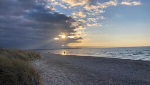 Una spiaggia con sabbia, erba e l'oceano.