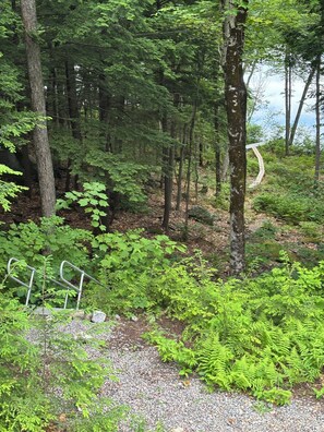 Une zone boisée avec un sentier de gravier et des garde-corps métalliques.