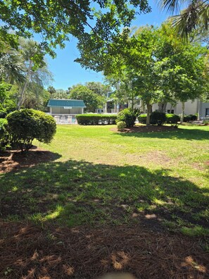 A well-maintained grassy area with a building in the background, surrounded by trees and shrubs. - First Floor Flat, Surf Court Villa, 2-King Beds, Steps to Coligny Beach! (Hilton Head Island)