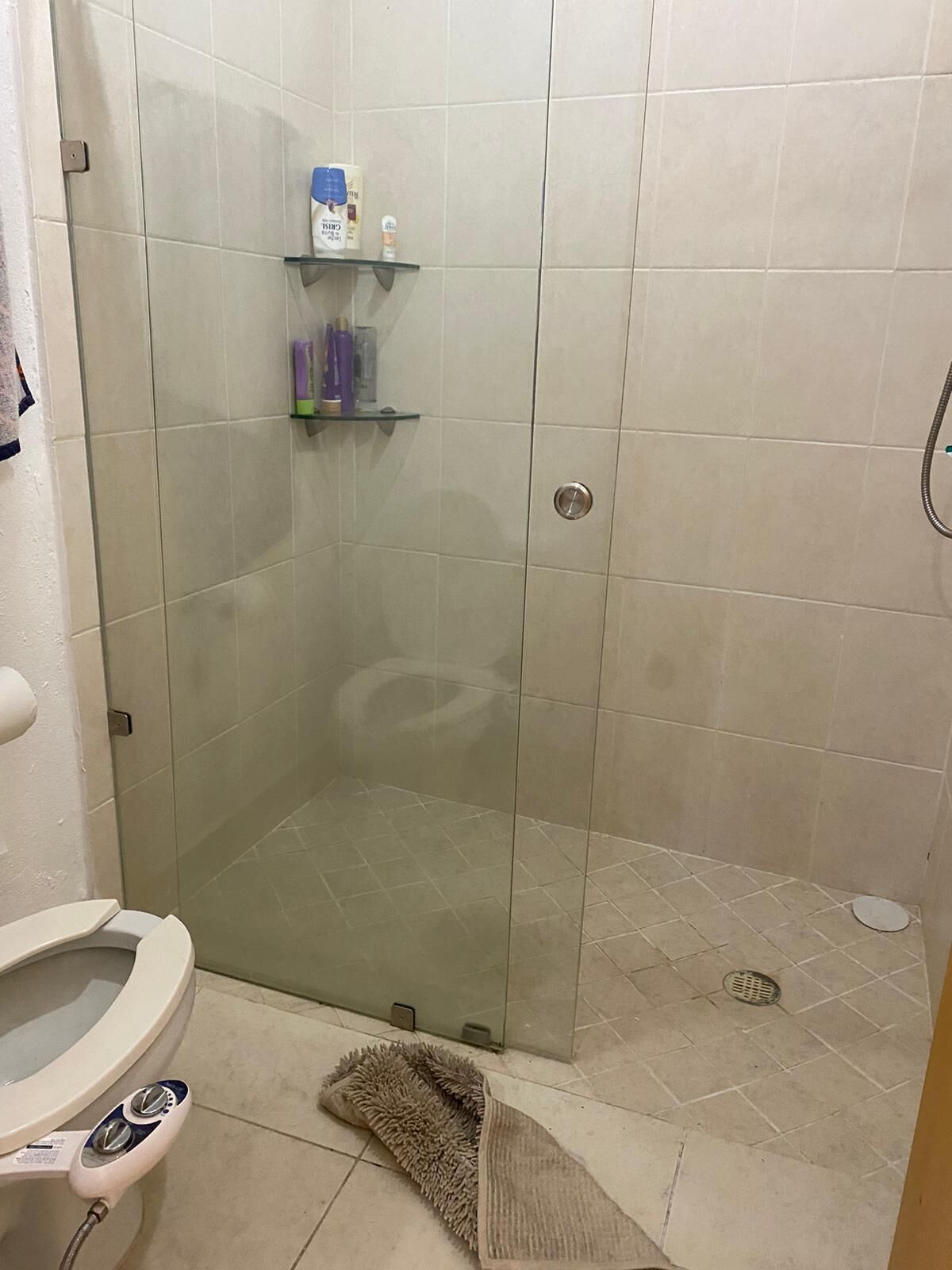 Ein Badezimmer mit einer gläsernen Duschkabine, einer Toilette und einem Ablagebereich für Pflegeartikel.
