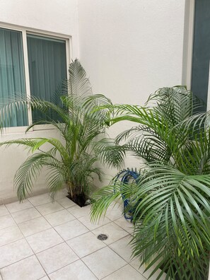 Eine mit Fliesen ausgelegte Terrasse mit mehreren Kübelpflanzen, einem blauen Gartenschlauch und einem Fenster mit grünen Vorhängen.