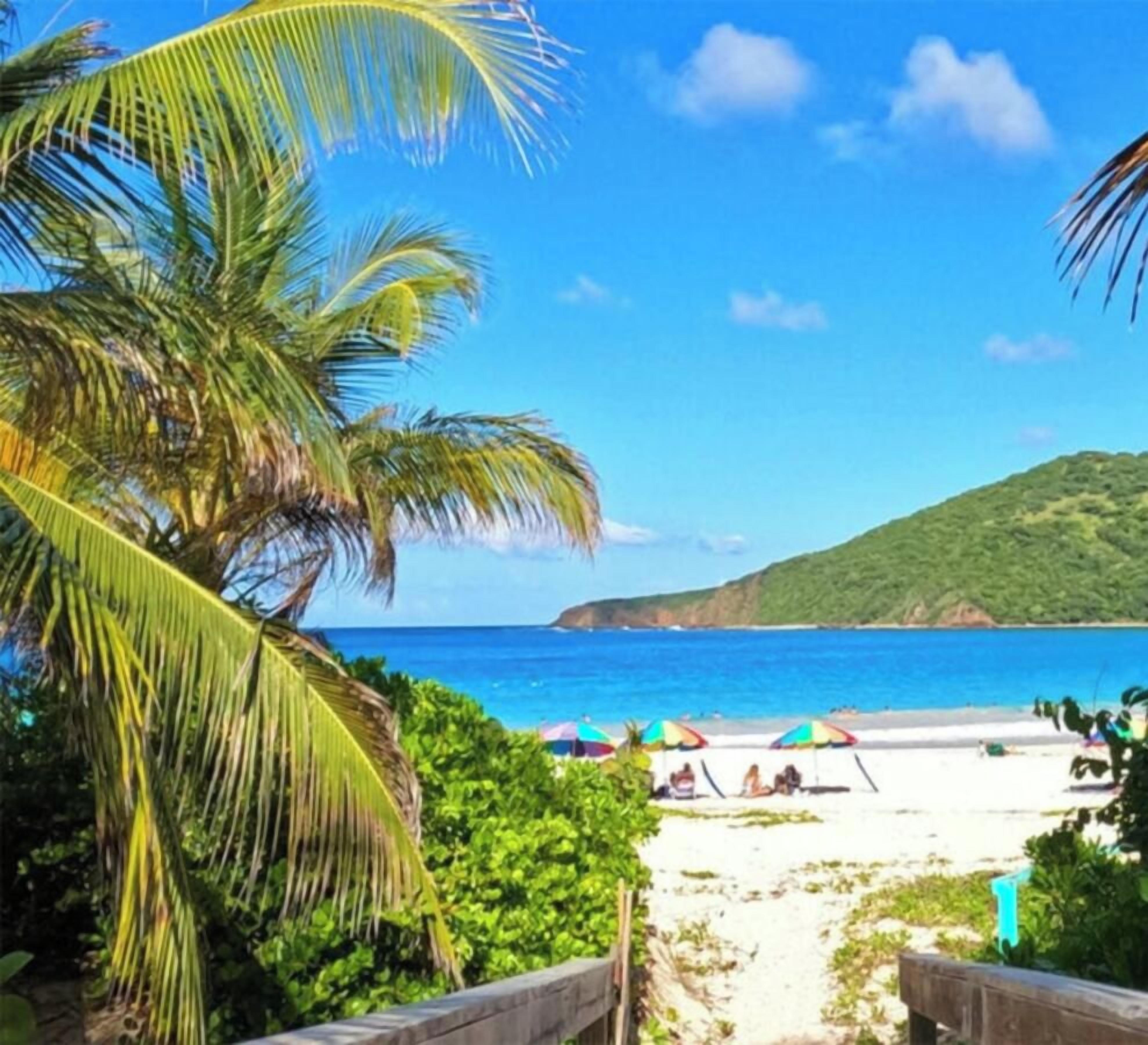 A beach scene with palm trees, a clear blue sky, and a view of the ocean.