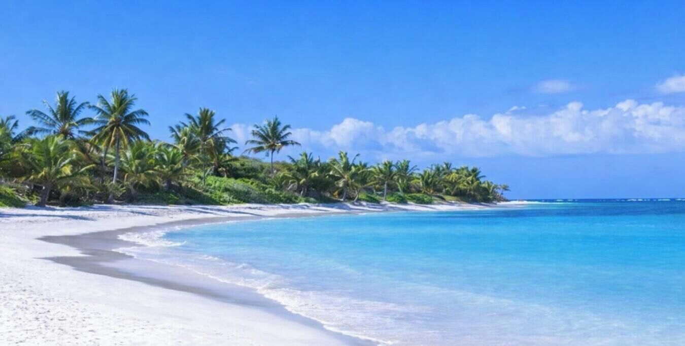 A beach with white sand, clear blue water, and palm trees.