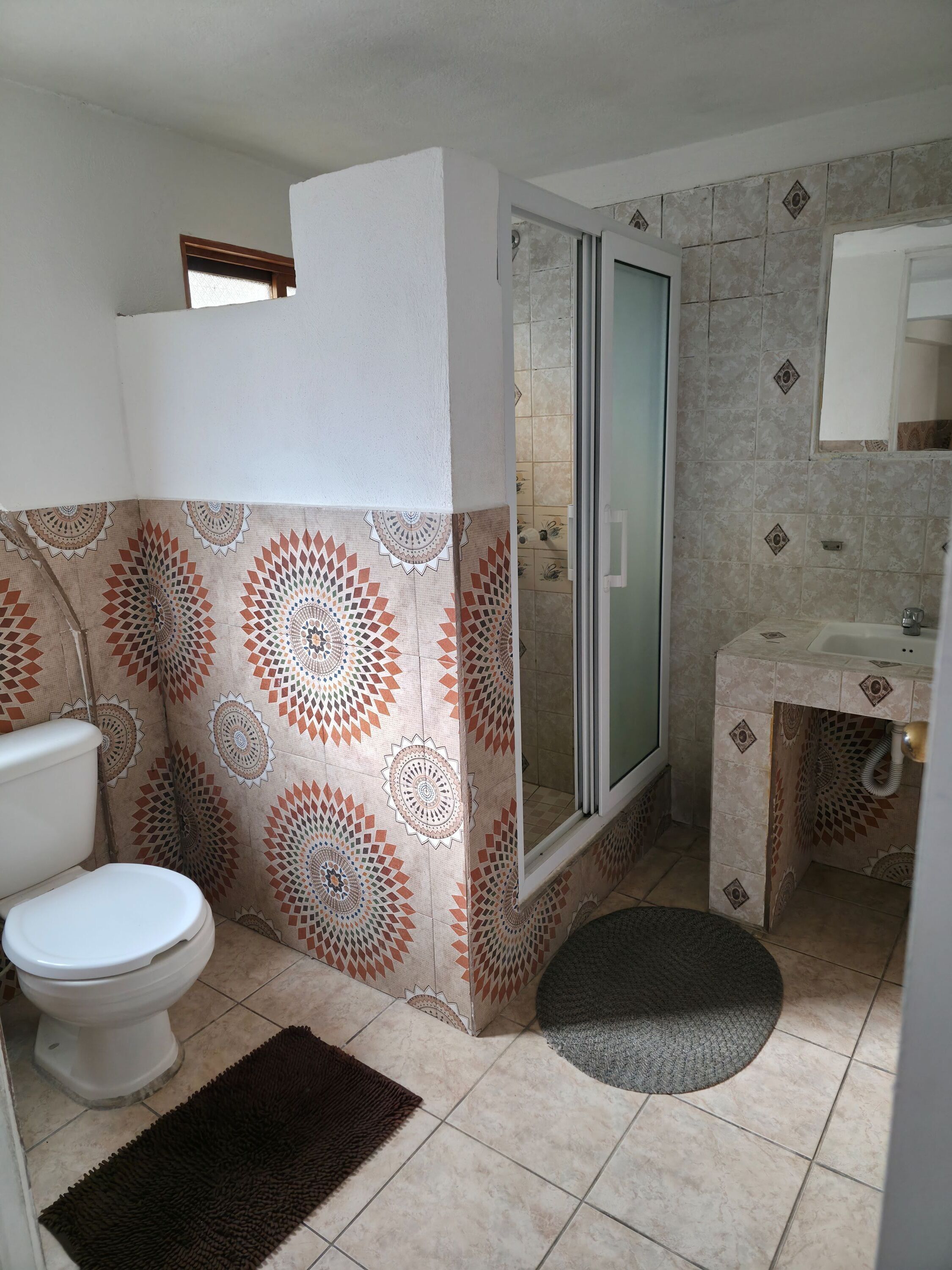 Une salle de bain avec des toilettes, une douche et un lavabo.