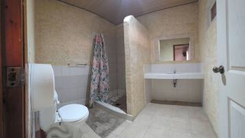 A bathroom with a toilet, shower, sink, and a mirror.