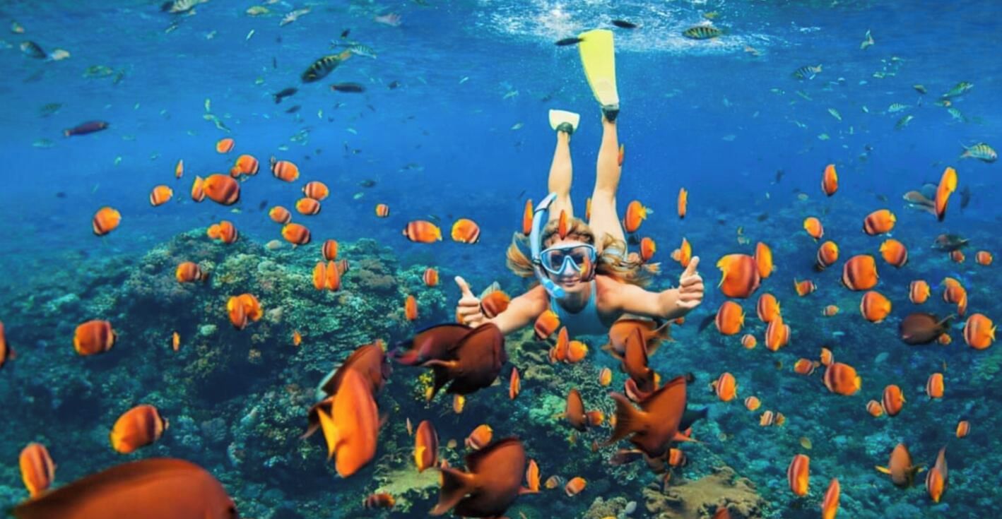 Una persona practica snorkel bajo el agua, rodeada de peces.